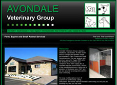 Avondale-Vets